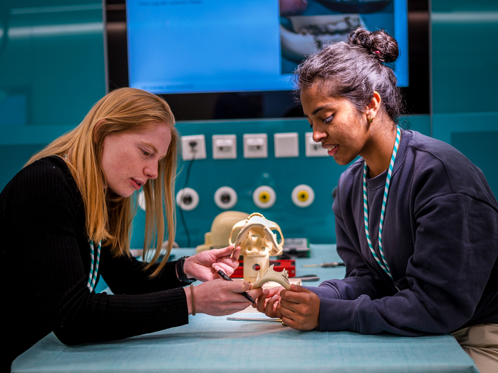  Two medical students work together to attach a screw to an artificial jaw.