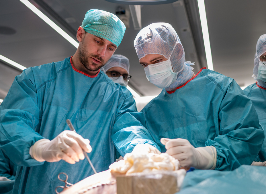 Hip Surgeon showing a group of residents how to create a surgical approach to the hip joint in the OR-X